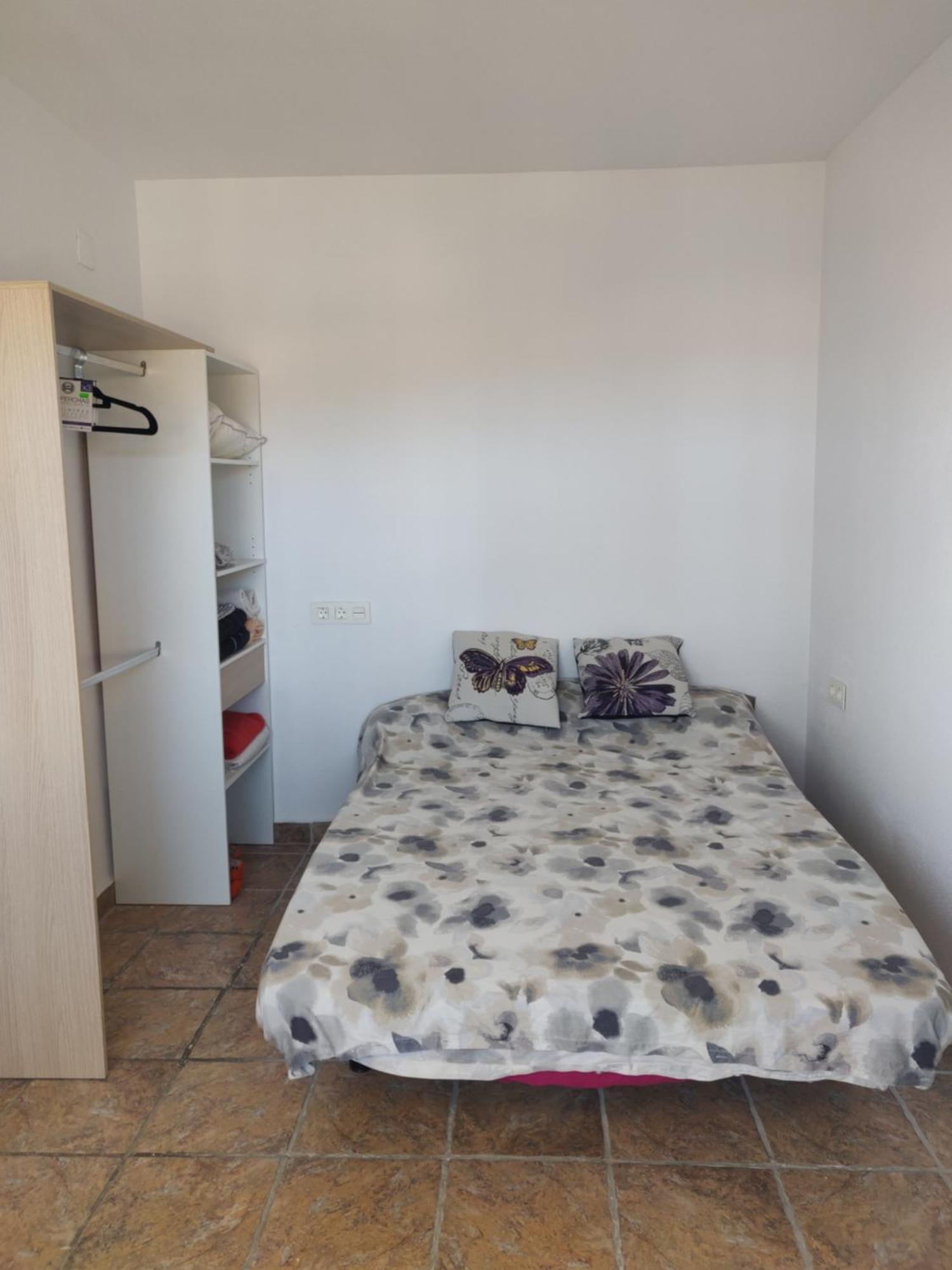 Apartamentos Soleados Cerca De La Playa La Mata Τορεβιέχα Εξωτερικό φωτογραφία
