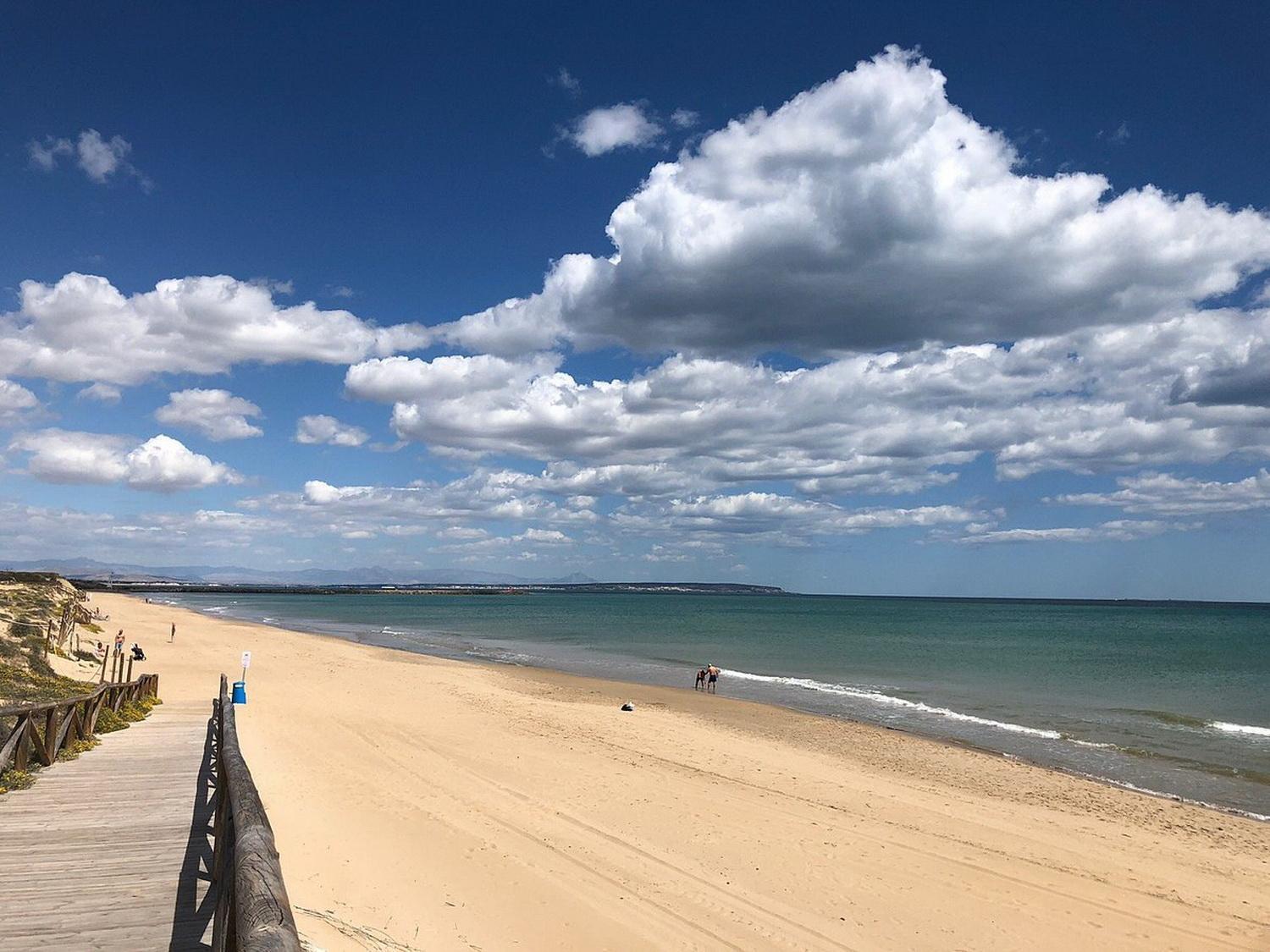 Apartamentos Soleados Cerca De La Playa La Mata Τορεβιέχα Εξωτερικό φωτογραφία